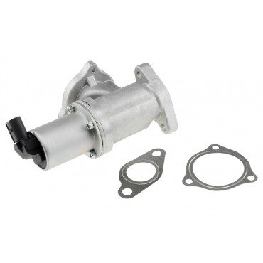 Vanne EGR Pour Hyundai Grandeur i30 Santa Fé II Sonata V Tucson Kia Pro