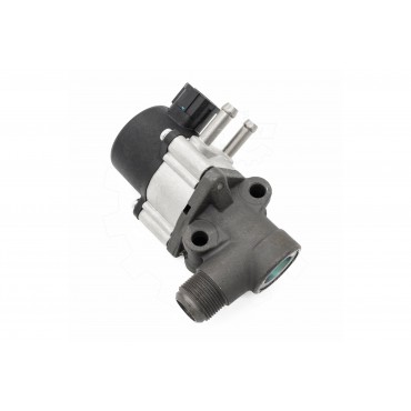 Vanne EGR Pour Nissan Almera II Tino Bluebird Primera Sunny IV 147105M001