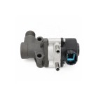 Vanne EGR Pour Nissan Almera II Tino Bluebird Primera Sunny IV 147105M001
