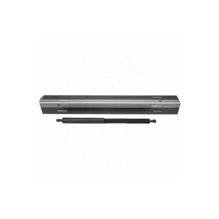 Vérin Hayon de Coffre Arrière Gauche Pour BMW X3 F97, G01, G08 G01 51247497482