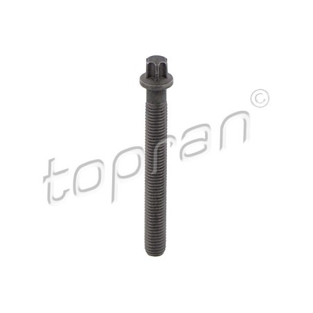 Vis de Poulie de Vilebrequin Pour BMW Série 3 E46 E90 E91 E92 E93 11232247932