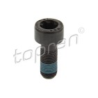Vis Volant Moteur Pour Renault Dacia Nissan 123153838R 1231500QAK 123159641R