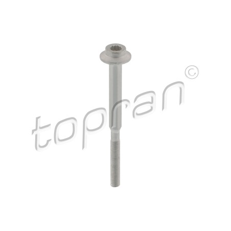 Vis Support d'Injecteur Pour VW Amarok Beetle Audi Seat Skoda WHT004739