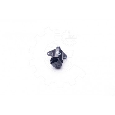 Régulateur de Ralenti Pour Peugeot 106 206 Citroën Saxo