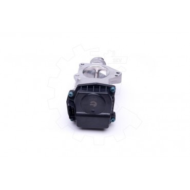 Boitier Corps Papillon Pour Peugeot 307 407 807 Expert Citroën C4 C5 C8 Jumpy