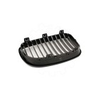 2 Grilles de Radiateur Pour BMW Série 1 E81 E87 51712150366 51712150367