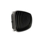 2 Grilles de Radiateur Pour BMW Série 1 E81 E87 51712150366 51712150367