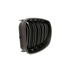 2 Grilles de Radiateur Pour BMW Série 1 E81 E87 51712150366 51712150367