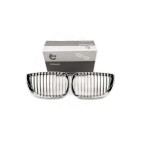 2 Grilles de Radiateur Pour BMW Série 1 E81 E82 E88 51710441920 51710441921