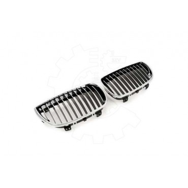 2 Grilles de Radiateur Pour BMW Série 1 E81 E82 E88 51710441920 51710441921