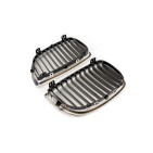 2 Grilles de Radiateur Pour BMW Série 1 E81 E82 E88 51710441920 51710441921