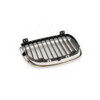 2 Grilles de Radiateur Pour BMW Série 1 E81 E82 E88 51710441920 51710441921