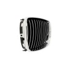 2 Grilles de Radiateur Pour BMW Série 1 E81 E82 E88 51710441920 51710441921