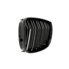 2 Grilles de Radiateur Pour BMW Série 1 E81 E82 E88 51710441920 51710441921