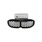 Grille de Radiateur Pour BMW Série 1 F40 51137450957 51137450959 7450957