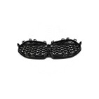 Grille de Radiateur Pour BMW Série 1 F40 51137450957 51137450959 7450957