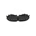 Grille de Radiateur Pour BMW Série 1 F40 51137450957 51137450959 7450957