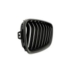 2 Grilles de Radiateur Pour BMW Série 2 F22, F87 F23 F45 51137295521