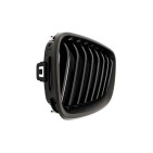 2 Grilles de Radiateur Pour BMW Série 2 F22, F87 F23 F45 51137295521