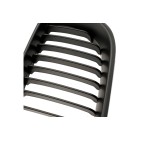 2 Grilles de Radiateur Pour BMW Série 3 E46 51137030545 51137042961