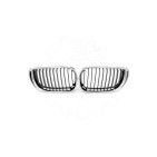 2 Grilles de Radiateur Pour BMW Série 3 E46 51137030545 51137042961