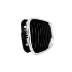 2 Grilles de Radiateur Pour BMW Série 3 E46 51137030545 51137042961