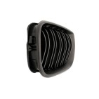 2 Grilles de Radiateur Pour BMW Série 3 E46 51137030545 51137042961