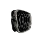 2 Grilles de Radiateur Pour BMW Série 3 E46 51137030545 51137042961