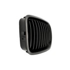 2 Grilles de Radiateur Pour BMW Série 3 E46 51138208490