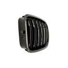 2 Grilles de Radiateur Pour BMW Série 3 E46 51138208490