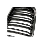 2 Grilles de Radiateur Pour BMW Série 3 E46 51138208490