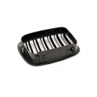 2 Grilles de Radiateur Pour BMW Série 3 E46 51138208490