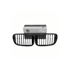 2 Grilles de Radiateur Pour BMW Série 3 E46 51138208487