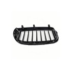 2 Grilles de Radiateur Pour BMW Série 3 E46 51138208487