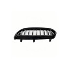 2 Grilles de Radiateur Pour BMW Série 3 E46 51138208487