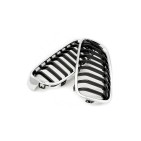 2 Grilles de Radiateur Pour BMW Série 3 F30, F80 F31 51137255411