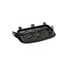 2 Grilles de Radiateur Pour BMW Série 3 F30, F80 F31 51137255411