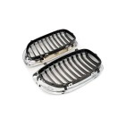 2 Grilles de Radiateur Pour BMW Série 3 E46 51137064317 51138208685