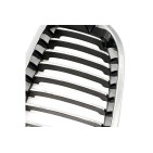 2 Grilles de Radiateur Pour BMW Série 3 E46 51137064317 51138208685
