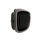 2 Grilles de Radiateur Pour BMW Série 3 E46 51137064317 51138208685