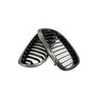 2 Grilles de Radiateur Pour BMW Série 3 E46 51137064317 51138208685