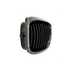 2 Grilles de Radiateur Pour BMW Série 3 E46 51137064317 51138208685