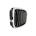 2 Grilles de Radiateur Pour BMW Série 3 E46 51138208683