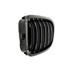 2 Grilles de Radiateur Pour BMW Série 3 E46 51138208683