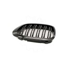 2 Grilles de Radiateur Pour BMW Série 3 E46 51138208683