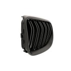 2 Grilles de Radiateur Pour BMW Série 3 E92 E93 51137254969