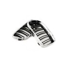 2 Grilles de Radiateur Pour BMW Série 3 E92 E93 51137254969