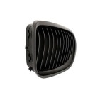 2 Grilles de Radiateur Pour BMW Série 3 E92 E93 51137157275