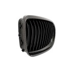 2 Grilles de Radiateur Pour BMW Série 3 E92 E93 51137157275