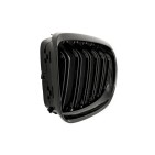2 Grilles de Radiateur Pour BMW Série 3 E92 E93 51137157275